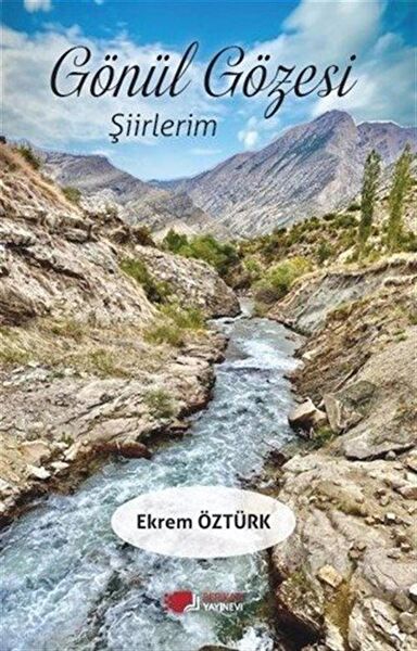 Berikan Yayınevi Şiir