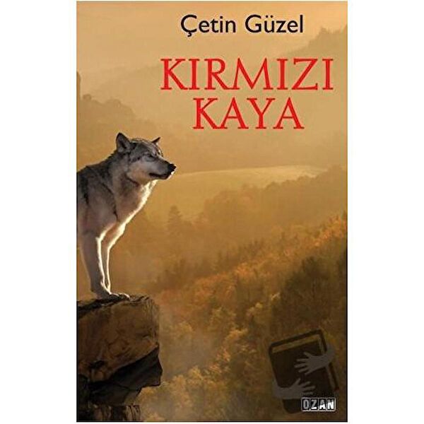 Ozan Yayıncılık Roman