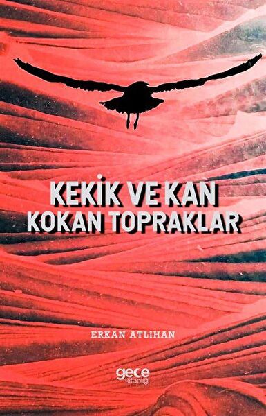 Gece Kitaplığı Roman