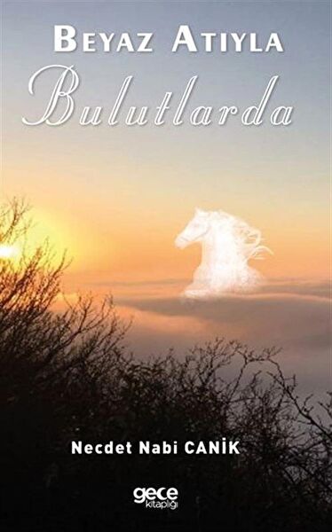 Gece Kitaplığı Roman