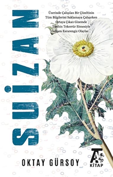 Kitap At Yayınları Roman