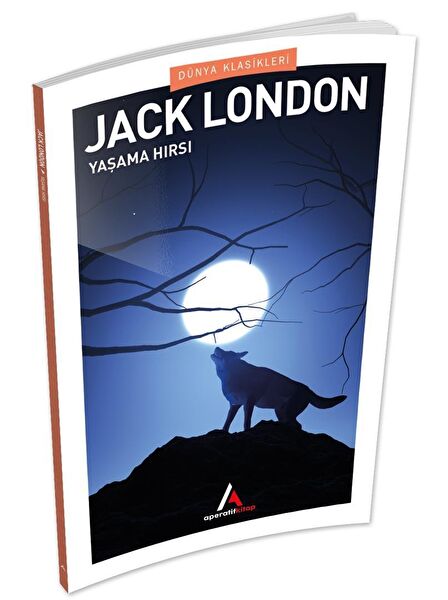 Aperatif Kitap Yayınları Roman