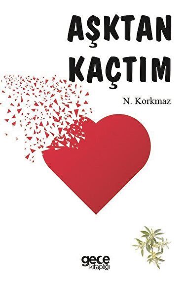 Gece Kitaplığı Roman