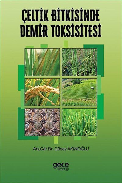 Gece Kitaplığı Bilim ve Teknik