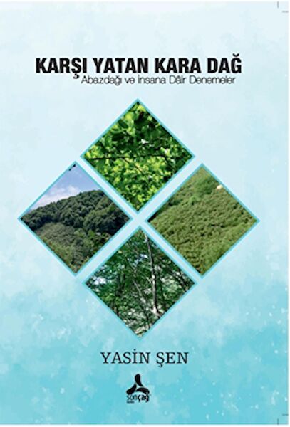 Sonçağ Yayınları Akademik Kitaplar