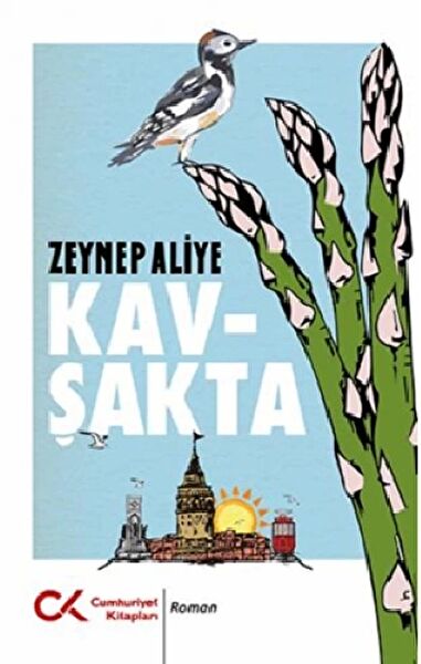 Cumhuriyet Kitapları Roman