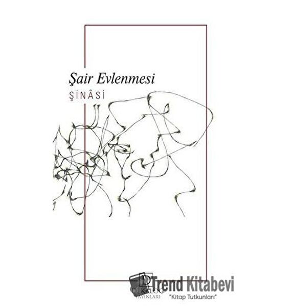 Dekalog Yayınları Roman