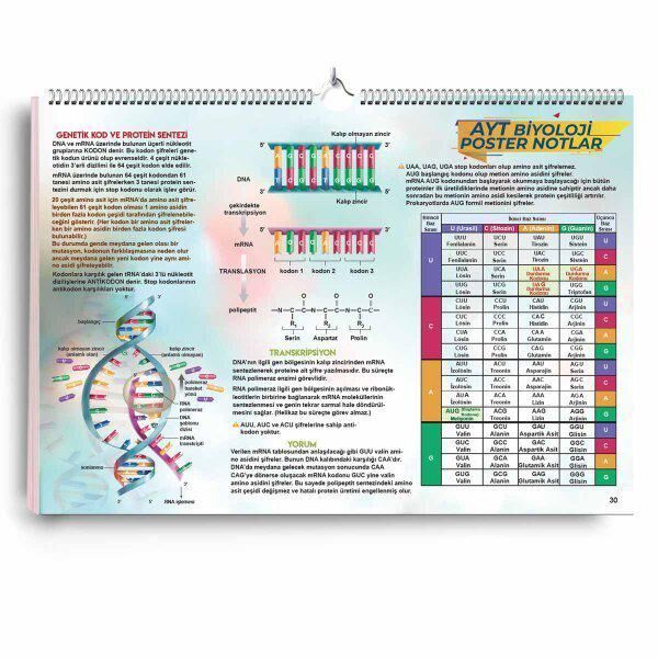 KR Akademi Yayınları Ders ve Yardımcı Kaynak Kitapları