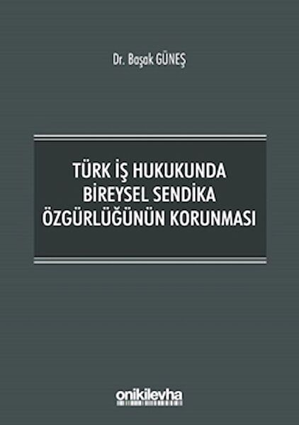 On İki Levha Yayınları Akademik Kitaplar