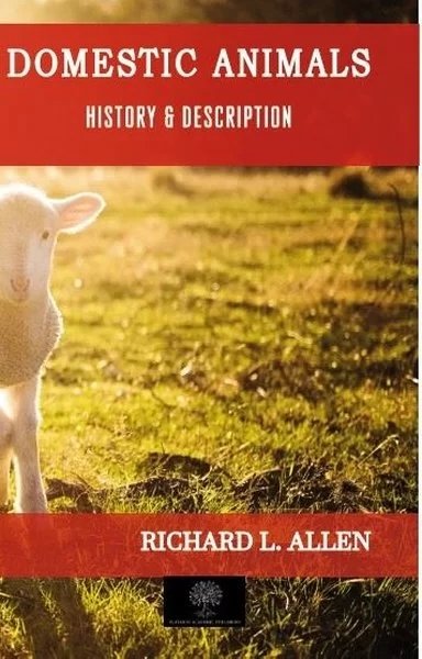 Platanus Publishing Yabancı Dilde Kitaplar