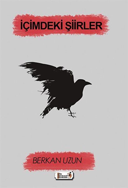 Şiir Antoloji Yayınları Şiir