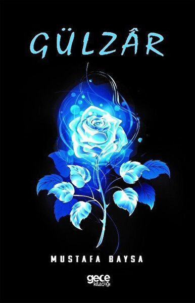 Gece Kitaplığı Şiir