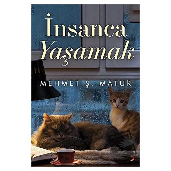 Cinius Yayınları Roman