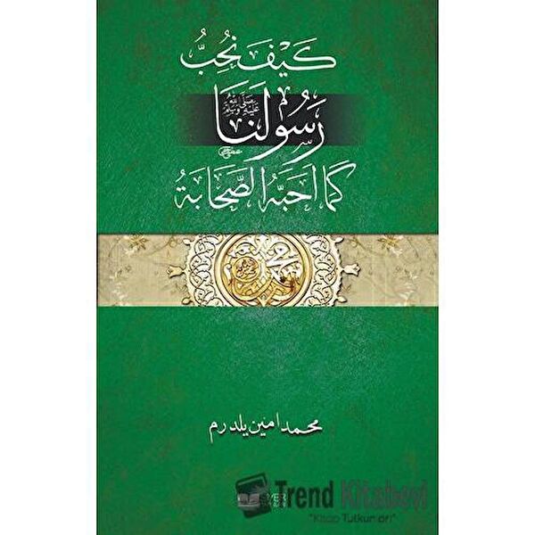 Siyer Yayınları Yabancı Dilde Kitaplar