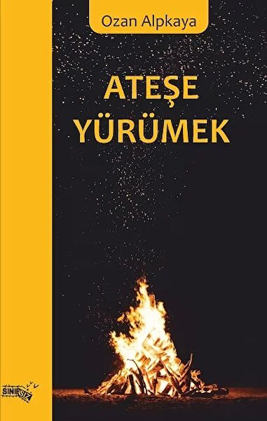 Sınırsız Kitap Roman