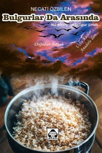 Alan Yayıncılık Şiir