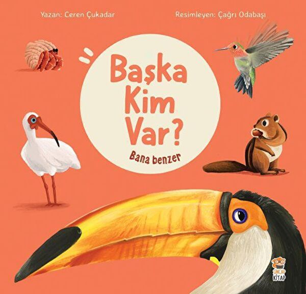 Sincap Kitap Çocuk Öykü, Masal
