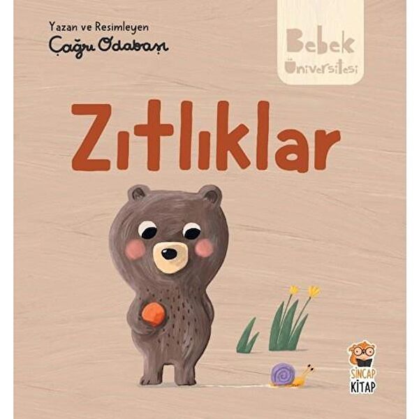 Sincap Kitap Aktivite ve Zeka Gelişim Kitapları