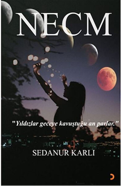 Cinius Yayınları Roman