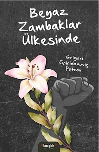 Başlık Yayınları Roman