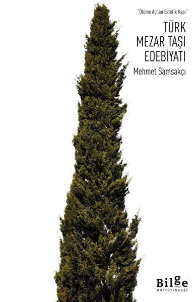 Bilge Kültür Sanat Yayınevi Roman