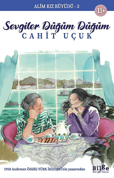 Bilge Kültür Sanat Yayınevi Roman