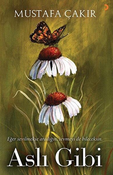 Cinius Yayınları Roman