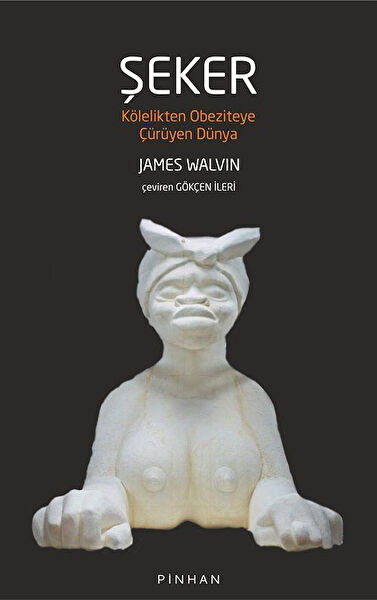 Pinhan Yayıncılık Araştırma, Tarih