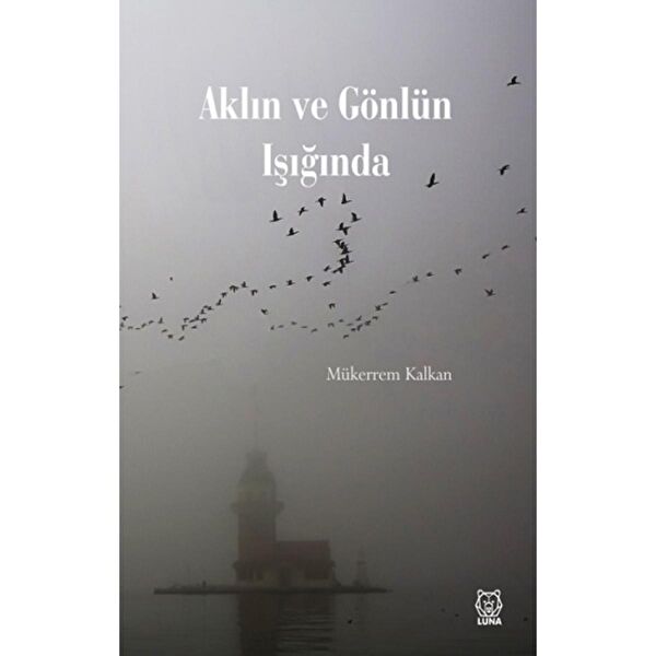 Luna Yayınları Türk Edebiyatı