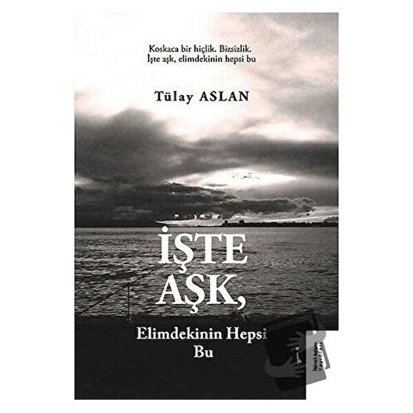 İkinci Adam Yayınları Deneme, İnceleme