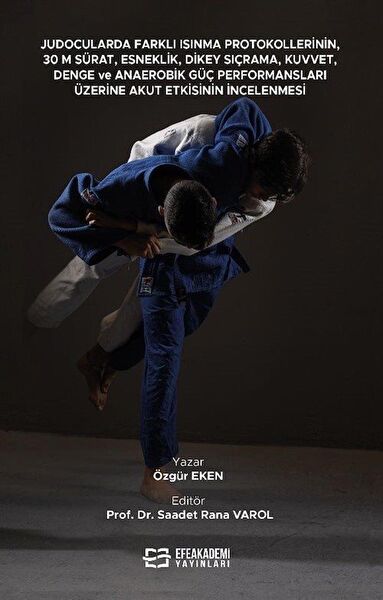 Efe Akademi Yayınları Akademik Kitaplar