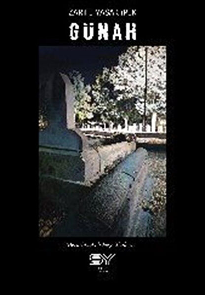 Servet Yayınevi Roman