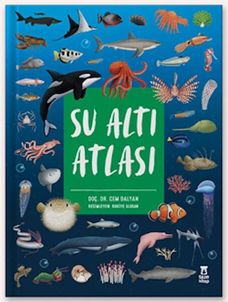 Taze Kitap Aktivite ve Zeka Gelişim Kitapları