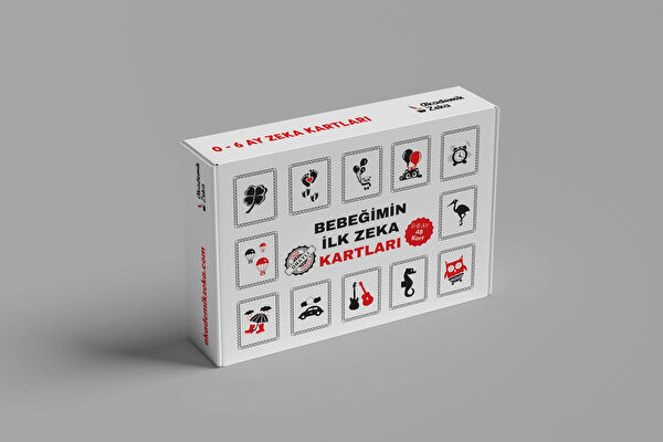 Akademik Zeka Aktivite ve Zeka Gelişim Kitapları