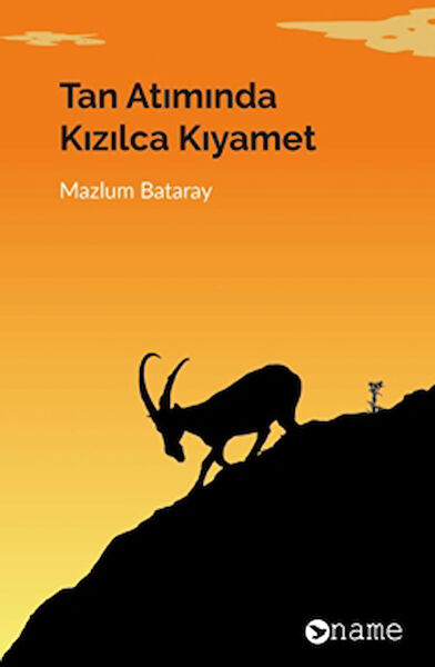 Name Yayınları Şiir