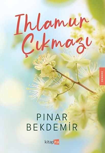 Kitapita Deneme, İnceleme