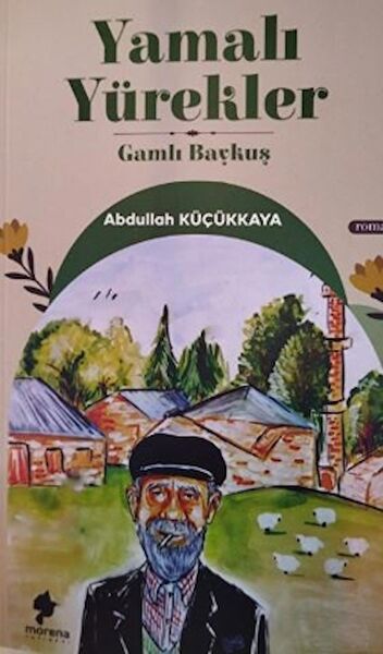 Morena Yayınevi Roman