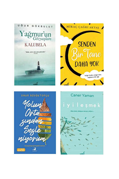 İndigo Kitap Deneme, İnceleme