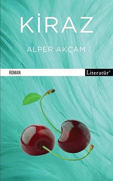 Literatür Yayıncılık Roman