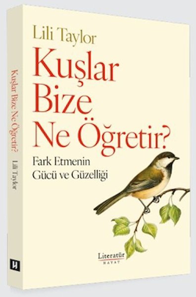 Literatür Hayat Deneme, İnceleme Kitapları