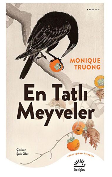 İletişim Yayınevi Türk Edebiyatı