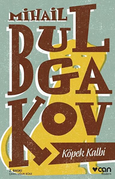 Can Yayınları Roman