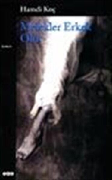 Yapı Kredi Yayınları Roman