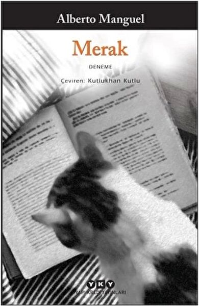 Yapı Kredi Yayınları Deneme, İnceleme