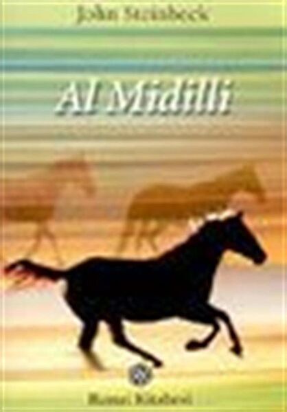 Remzi Kitabevi Roman