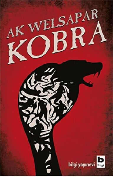 Bilgi Yayınevi Roman