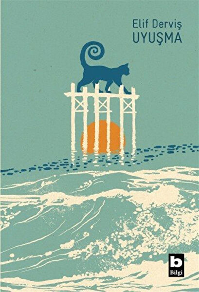 Bilgi Yayınevi Roman