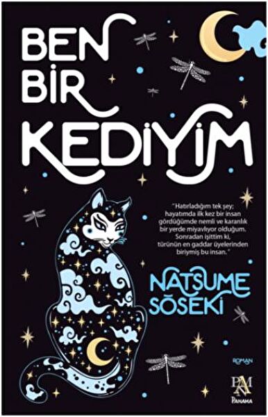 Panama Yayınevi Roman