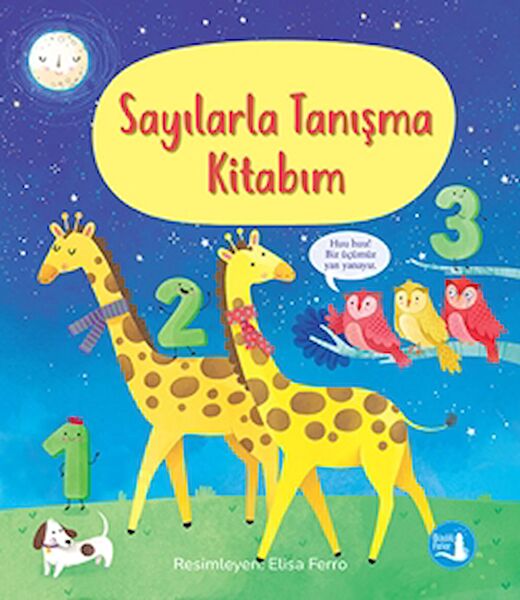 Büyülü Fener Yayınları Aktivite ve Zeka Gelişim Kitapları