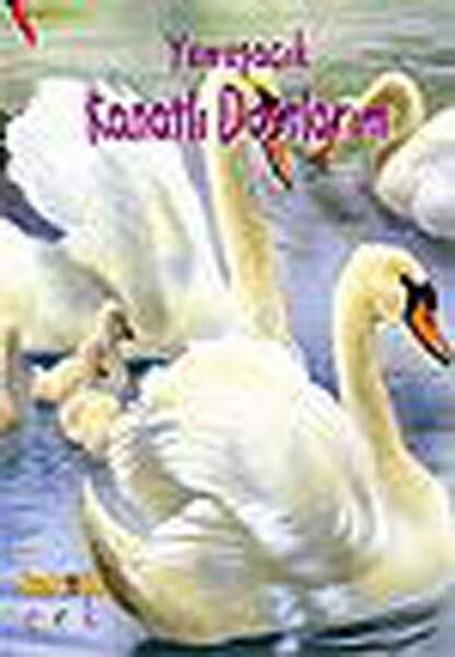 Kaknüs Yayınları Çocuk Öykü, Masal